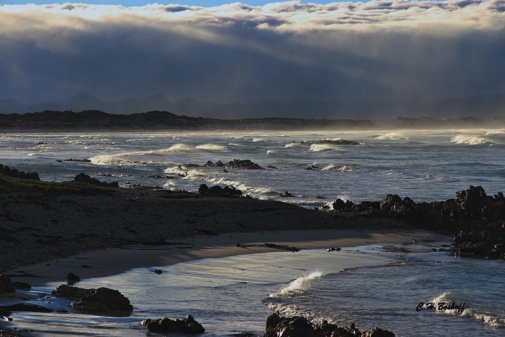 Walkerbay Accommodation Gansbaai Exterior foto