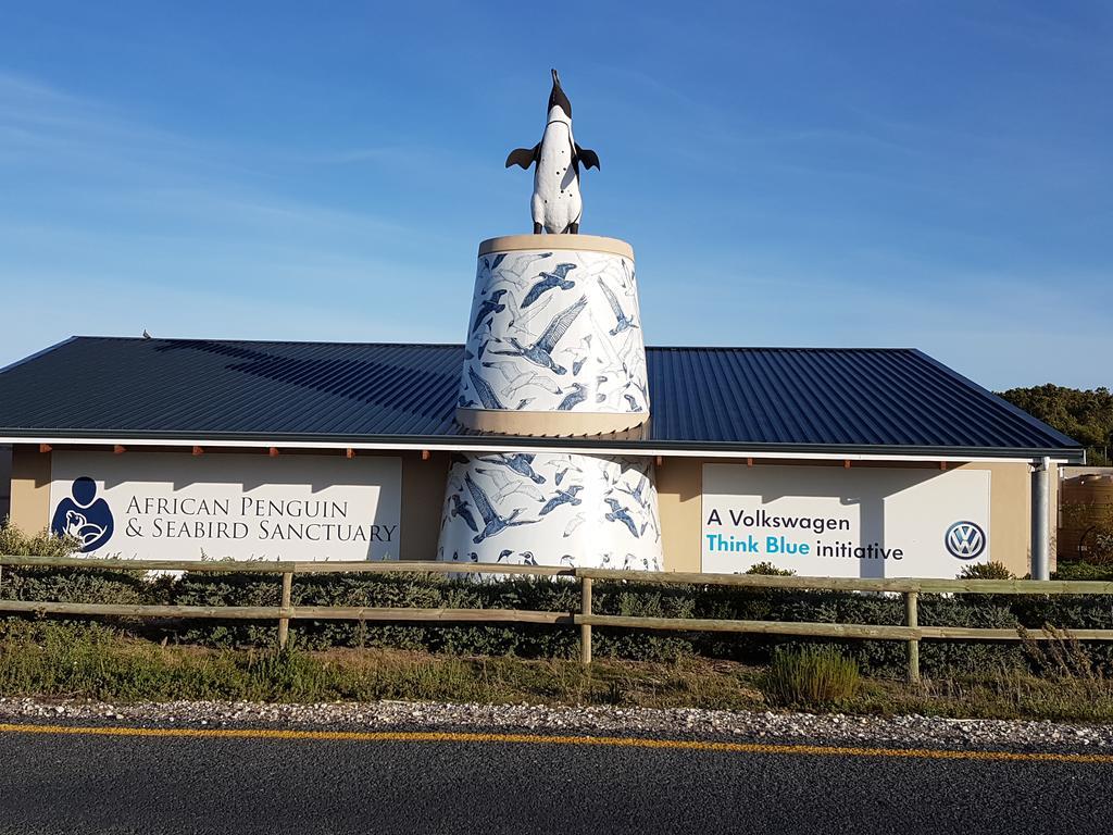Walkerbay Accommodation Gansbaai Exterior foto